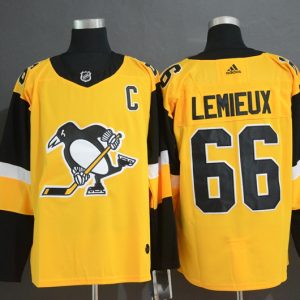 Pittsburgh Penguins #66 Mario Lemieux Gold Stitched Jersey