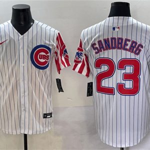 Chicago Cubs #23 Ryne Sandberg White Pinstripe 2025 Independence Day Vapor Premier Limited Stitched Jersey