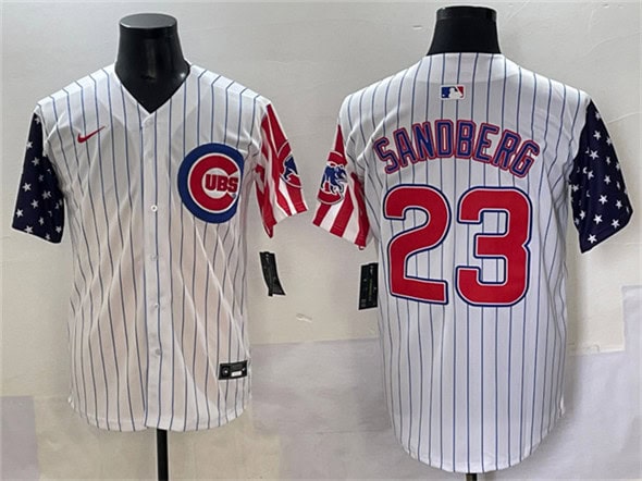 Chicago Cubs #23 Ryne Sandberg White Pinstripe 2025 Independence Day Vapor Premier Limited Stitched Jersey