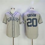 Homestead Grays #20 Josh Gibson Gray Stitched Baseball Jersey