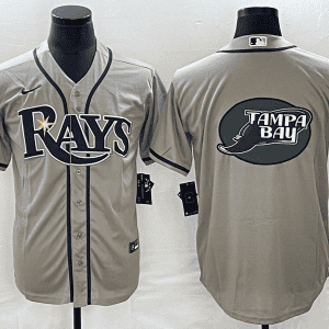 Tampa Bay Rays Gray Team Big Logo Cool Base Stitched Jersey