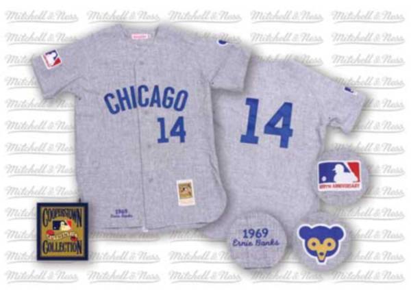 Mitchell And Ness Cubs #14 Ernie Banks Stitched Grey Throwback Jersey