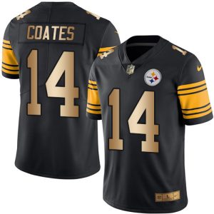 Steelers #14 Sammie Coates Black Stitched Limited Gold Rush Nike Jersey