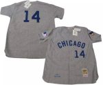 Chicago Cubs #14 Ernie Banks Gray 1969 Mitchell Ness Stitched Jersey