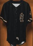 Salt Lake Bees Blank Black Stitched Jersey