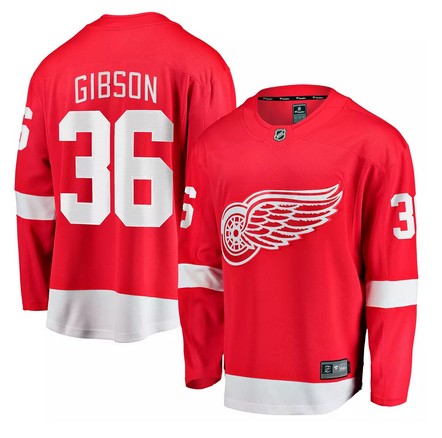 Detroit Red Wings #36 John Gibson Red Home Stitched Jersey